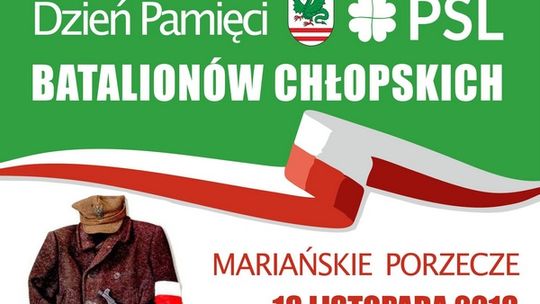 Upamiętnią Bataliony Chłopskie