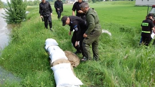 W Wildze powódź na papierze