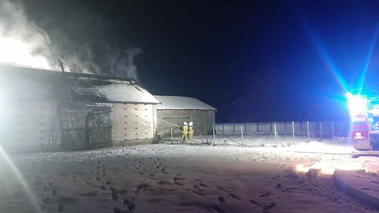 Walczyli z pożarem budynku gospodarczego
