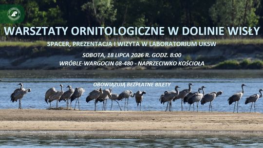 Warsztaty ornitologiczne nad Wisłą. Uczestnicy zajrzą także do laboratorium naukowców
