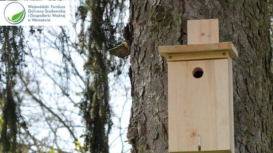 Warsztaty z sokołem w powiecie garwolińskim