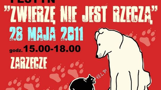 WG Patronat: Zwierzę nie jest rzeczą