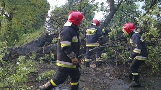 Wiało mocno także w powiecie