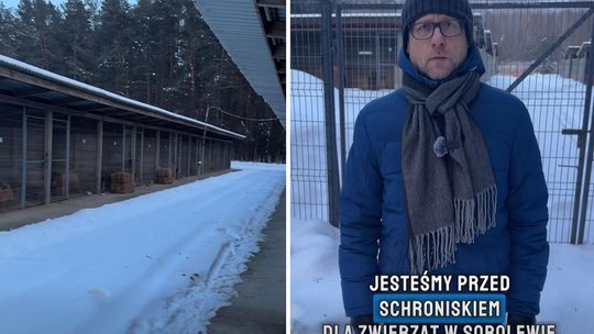 Wicewojewoda mazowiecki przyznaje się do błędu ws. schroniska w Sobolewie