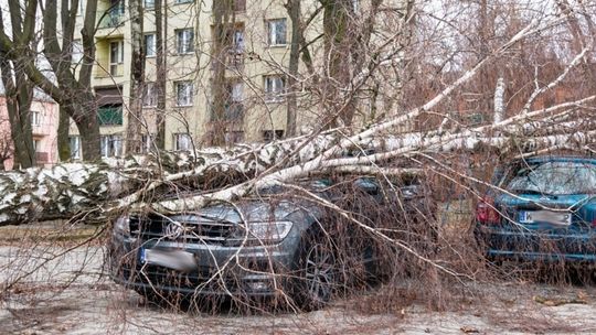 Wietrzny weekend: 150 interwencji straży