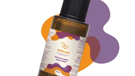 Witaminy i suplementy dla zwierząt – jakie są skutki niedoboru witamin w diecie psa?