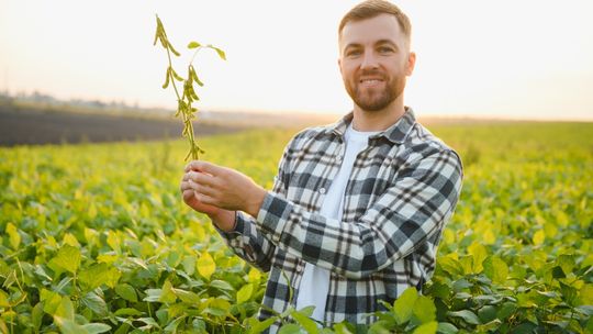 Własny kawałek ziemi – dlaczego to marzenie jest dziś tak silne i jak je spełnić?
