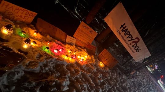 Wojewoda zażąda wyjaśnień od PIW w Garwolinie po zamknięciu schroniska w Sobolewie