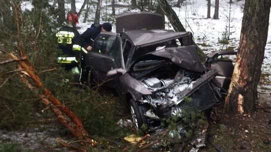 Wyleciał z nadwiślanki i ściął drzewo