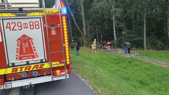 Wypadek w Celejowie. Renault wypadło z drogi i uderzyło w ogrodzenie