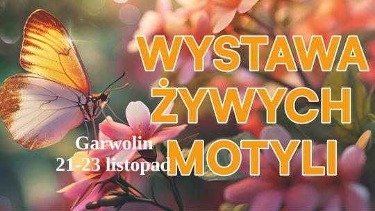 Wystawa żywych motyli Wystawa żywych motyli