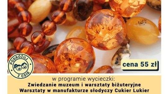 Z wizytą w Muzeum Bursztynu