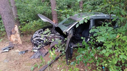 Zasłabł za kierownicą. Zjechał z nadwiślanki