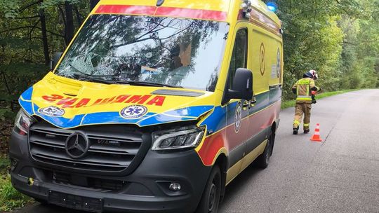Zderzenie ambulansu z łosiem. Zwierzę nie przeżyło