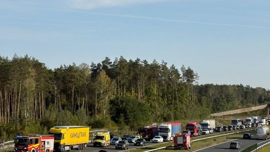 Zderzenie na S17 w Gocławiu