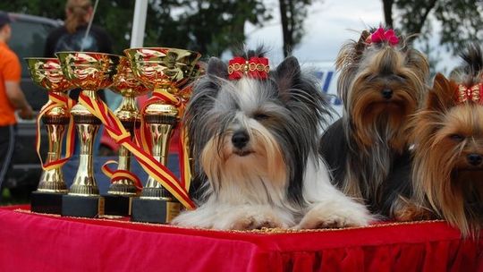 Żelechów świętował na sportowo