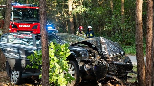 Zjechał z drogi i ściął drzewa