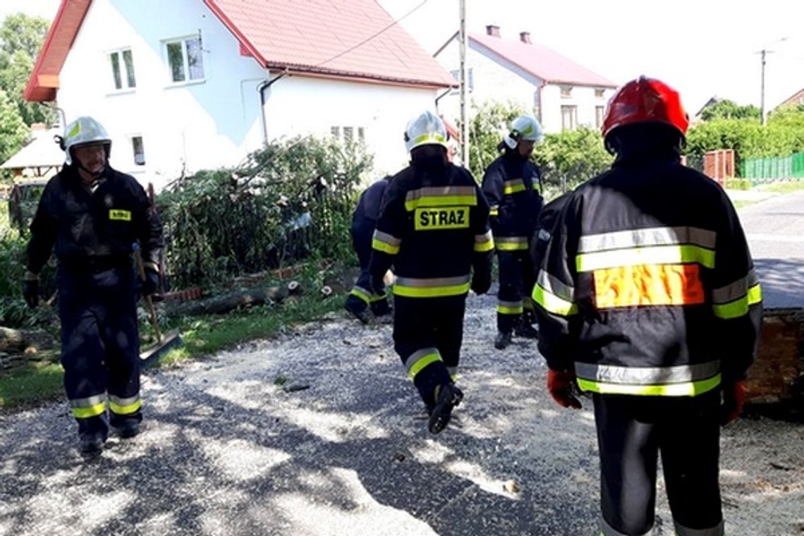 22 interwencje straży po burzach