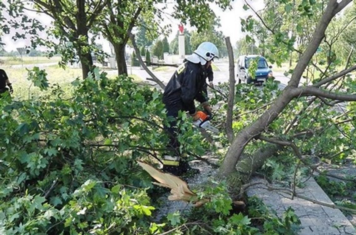 81 interwencji po przejściu wichury