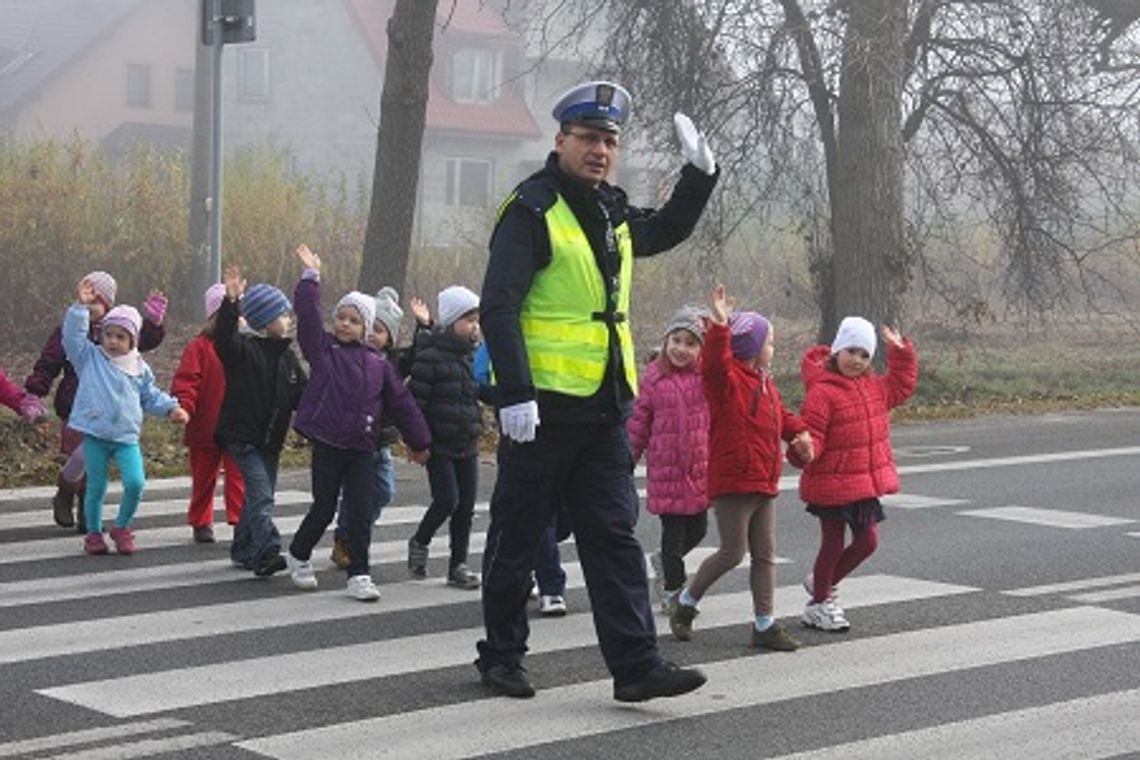 Bezpieczny pieszy - weekendowa akcja policji