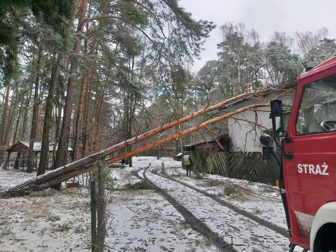 Bilans śnieżycy: 30 wyjazdów w 6 gminach