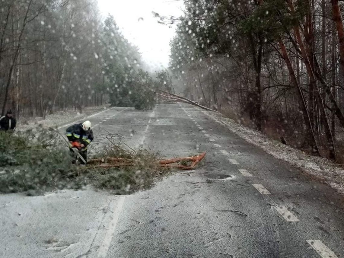 Burza i śnieżyca. 70 powalonych drzew