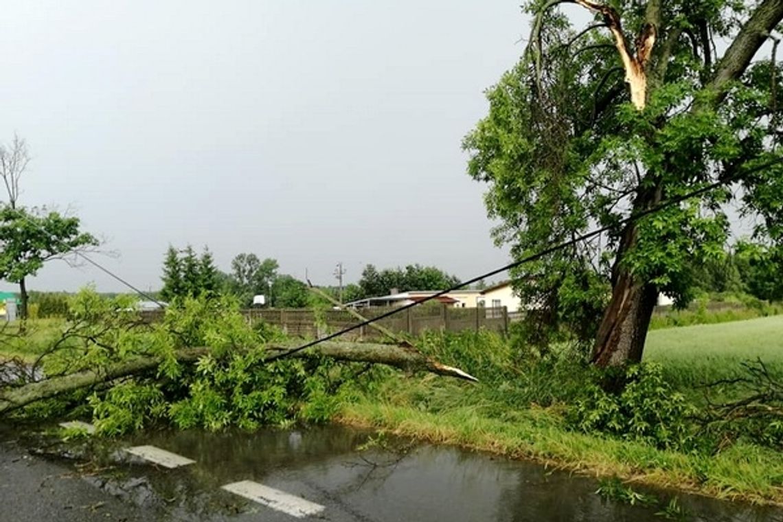 Burze nad powiatem. Najwięcej połamanych drzew