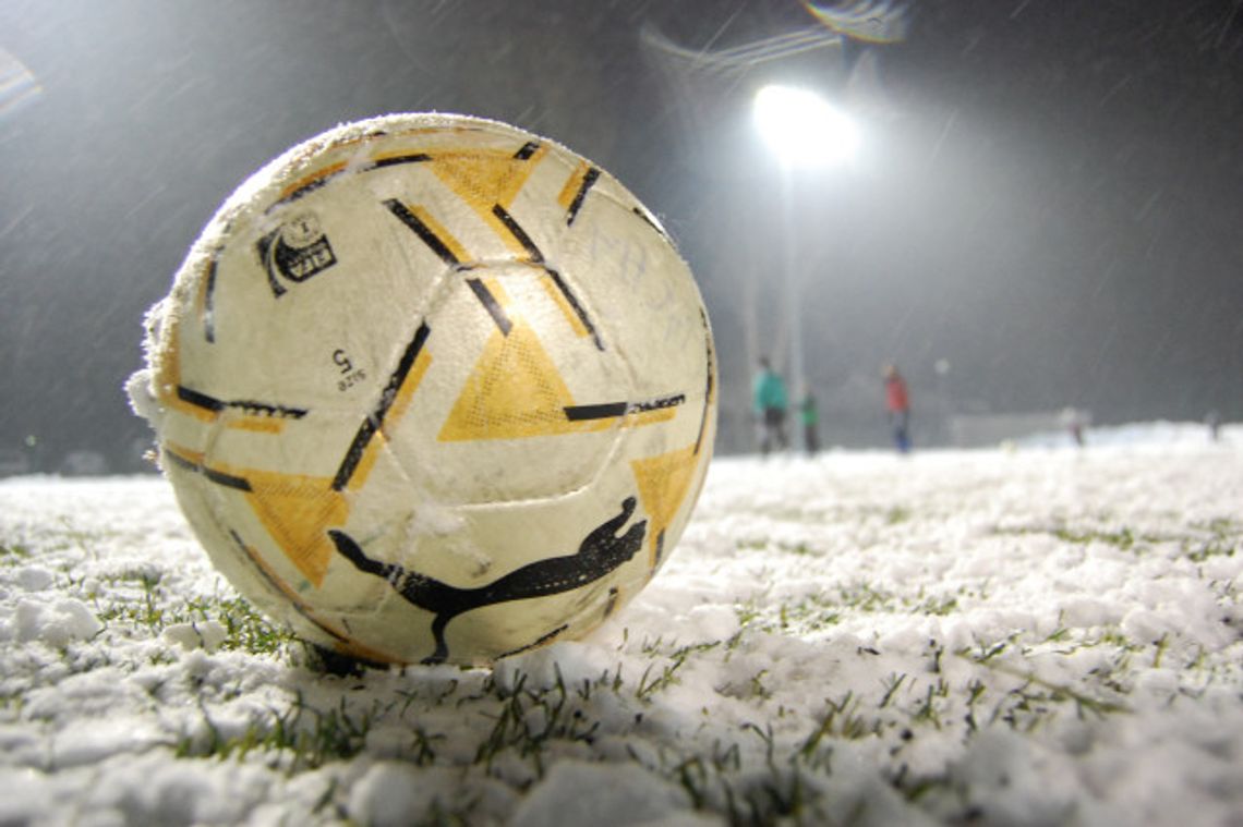 Choroba zdziesiątkowała Wilgę