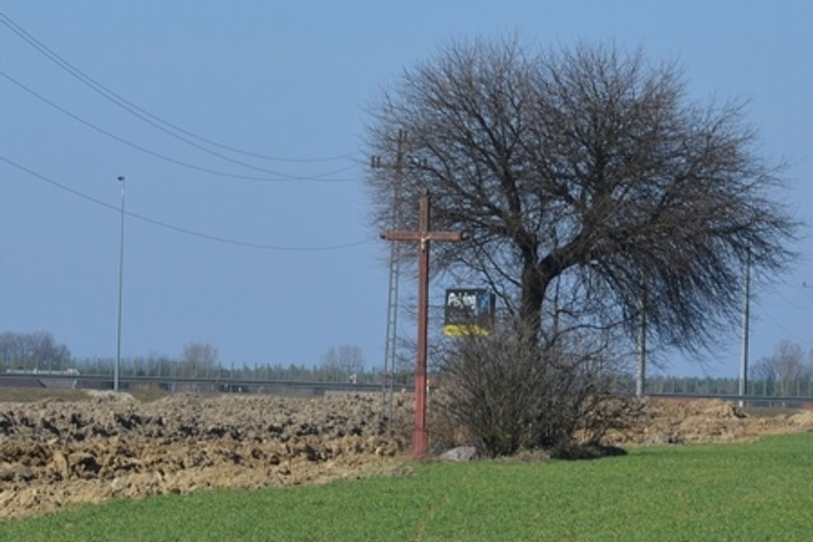 Co starostwo zrobi z krzyżem?