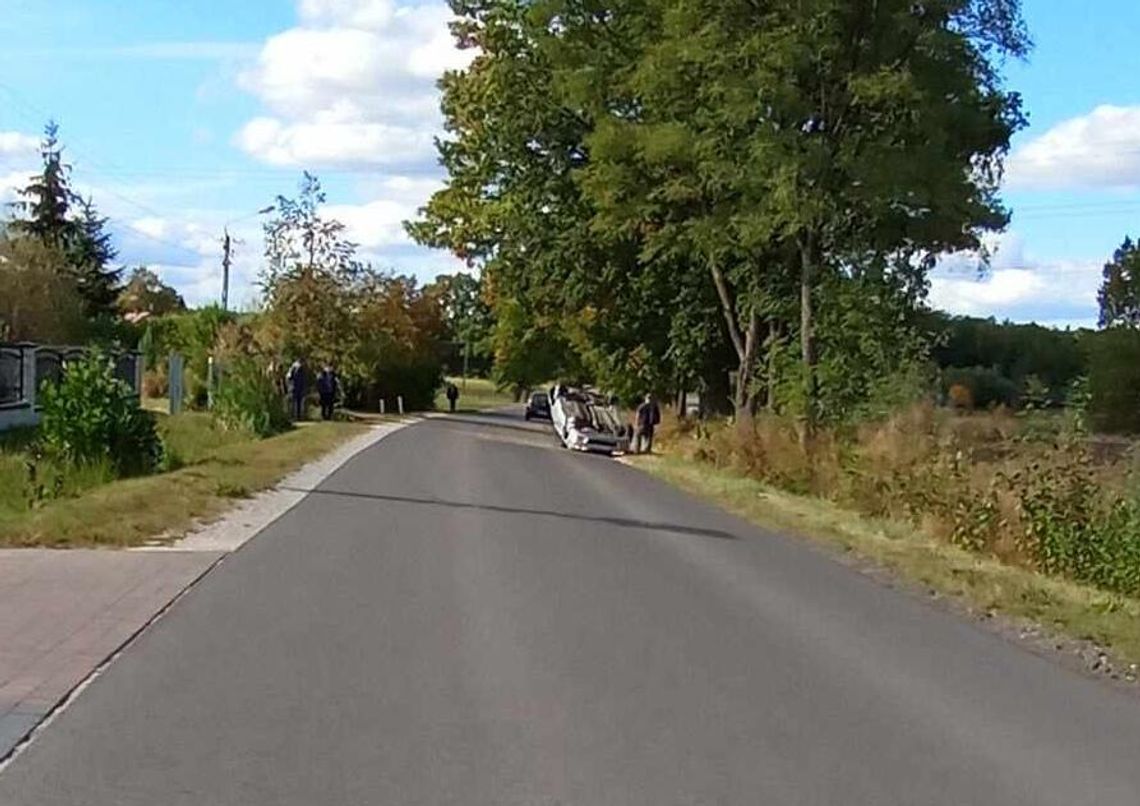 Dachowanie pod Żelechowem