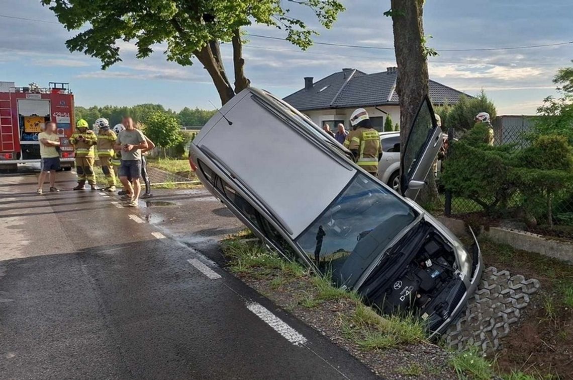 Dachowanie w gminie Żelechów