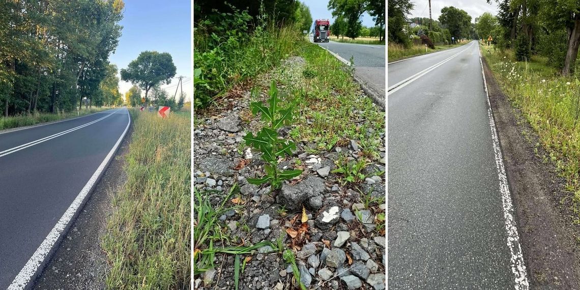 Determinacja mieszkańców przynosi efekt. Jest odpowiedź GDDKiA w sprawie ścieżki na DK76