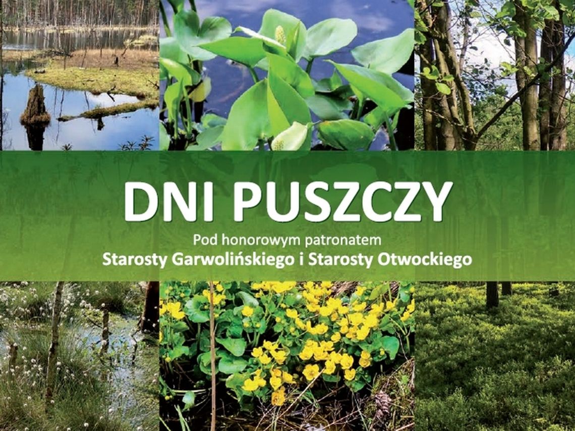 Dni Puszczy po raz pierwszy