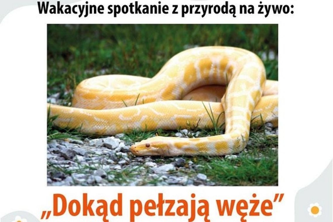 Dokąd pełzają węże? Spotkanie z żywymi gadami w CSiK