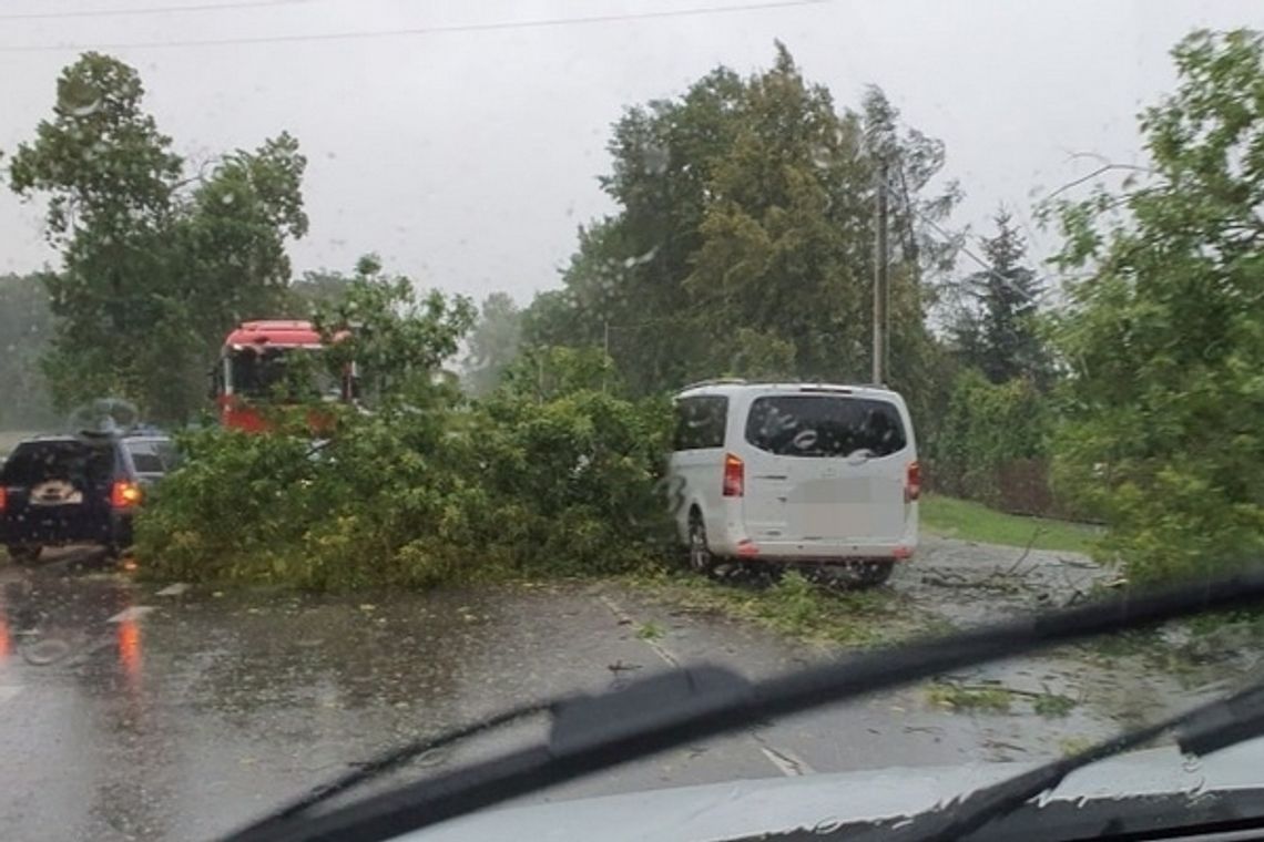 Drzewo spadło na auto z kobietą w ciąży