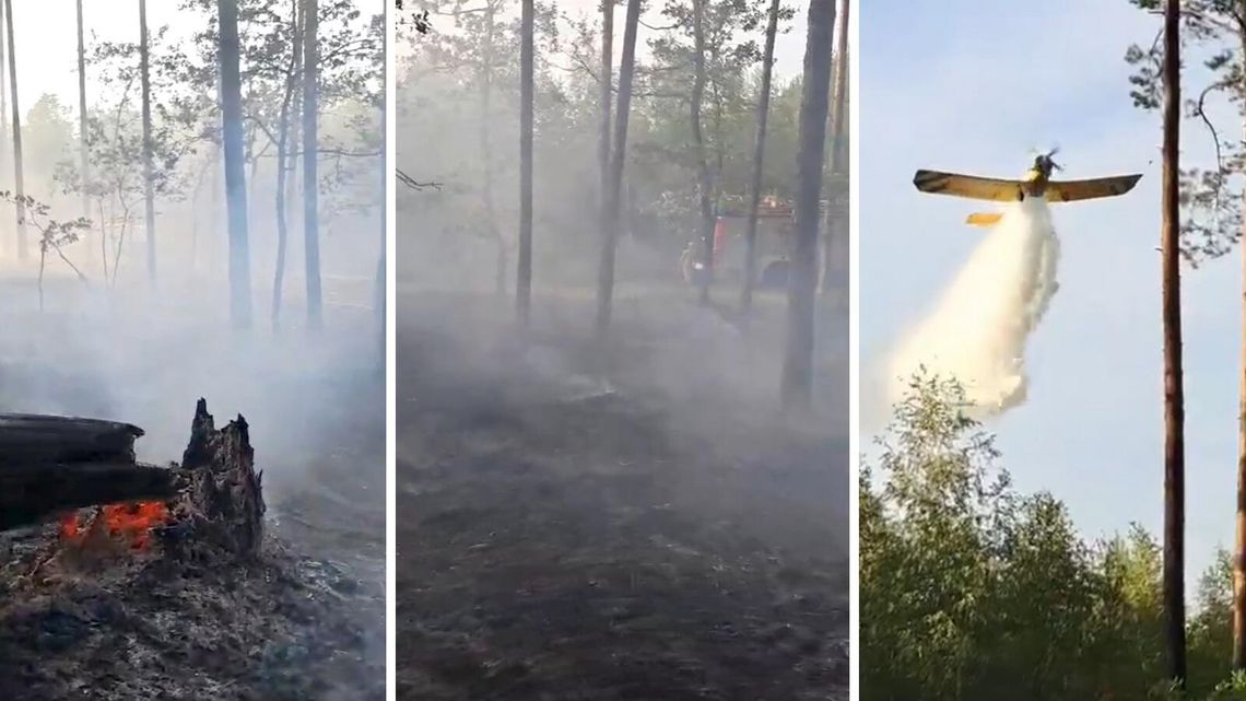 Duży pożar lasu pod Garwolinem. W akcji samolot gaśniczy