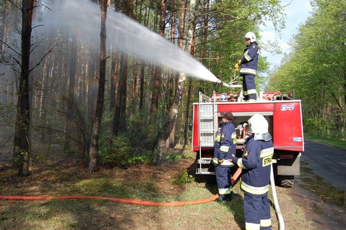 Gm. Miastków Kościelny: Pali się 8 hektarów lasu