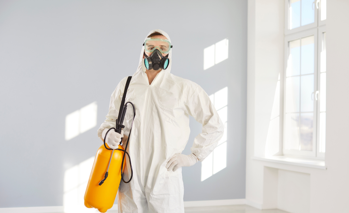 Jak zwalczyć pluskwy domowe? wygrzewanie pluskiew insektstop.pl