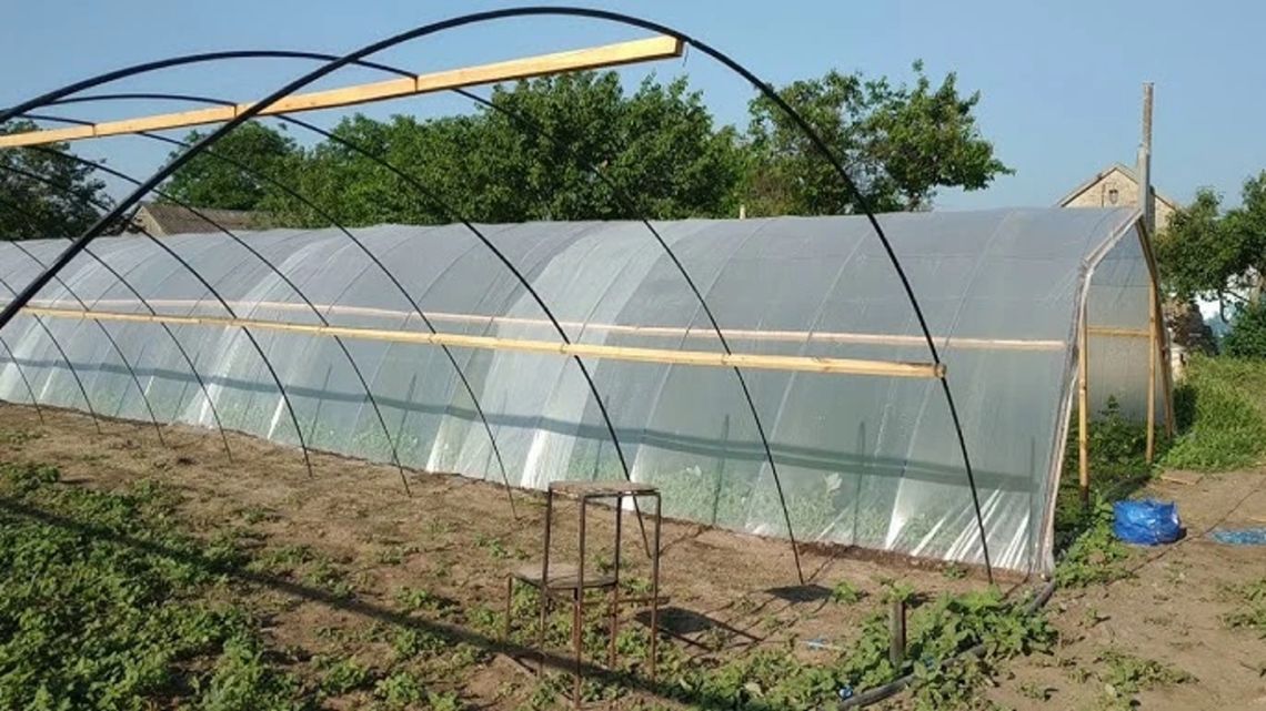 Jak właściwie dobrać okucia szklane do szklarni? Jak właściwie dobrać okucia szklane do szklarni?