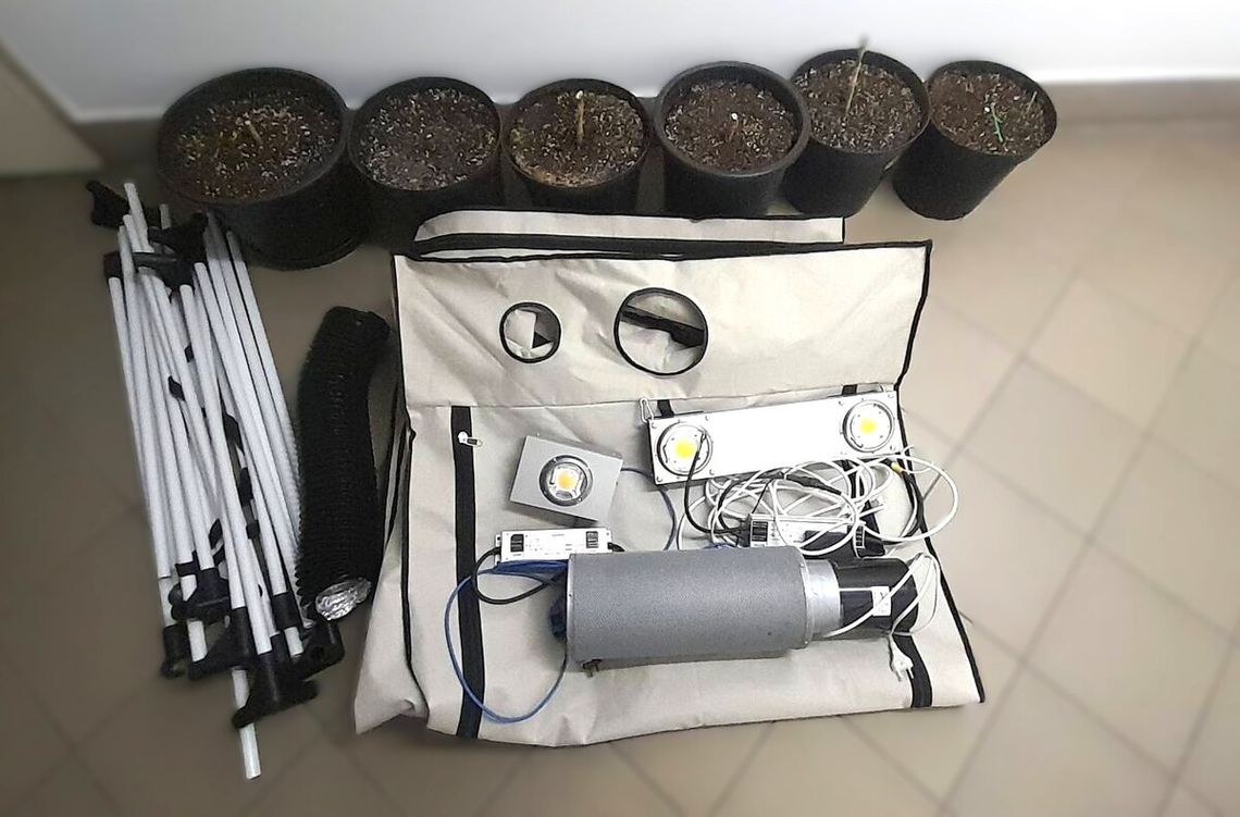 Kokaina, marihuana, mefedron i sprzęt do uprawy konopi. Kryminalni zatrzymali dwóch podejrzanych