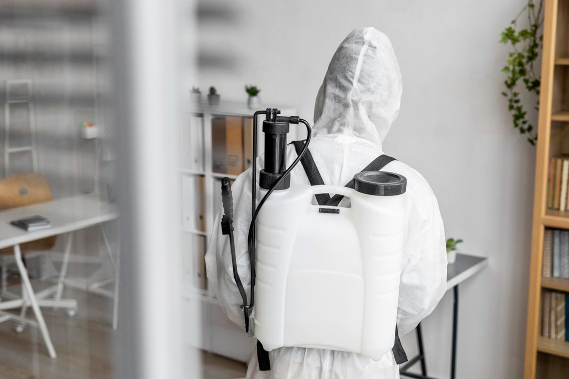 Kompleksowa dezynsekcja na Bemowie – skuteczne zwalczanie insektów w Warszawie