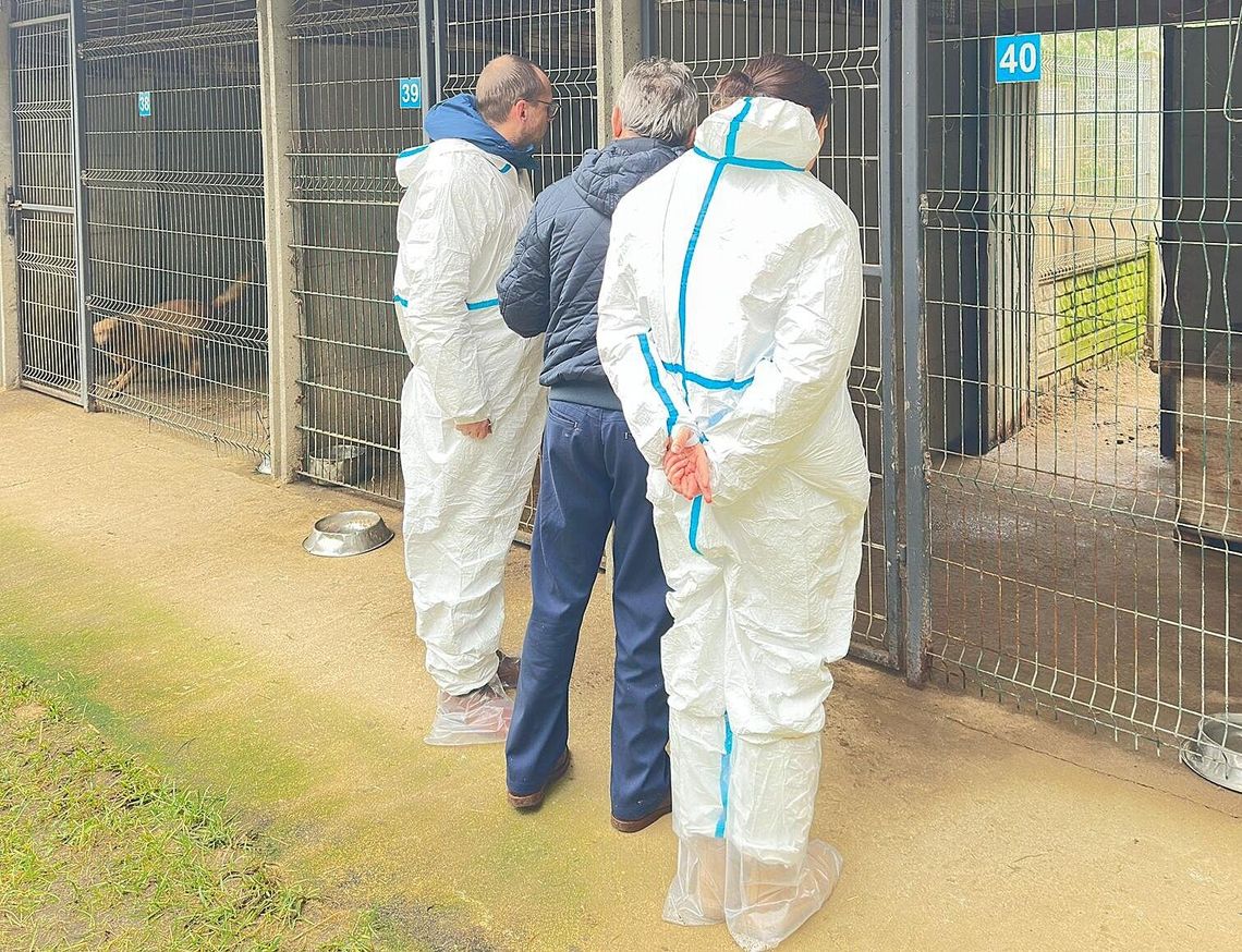 Kontrole w schronisku „Happy Dog” w Sobolewie. Wojewoda: brak potwierdzenia medialnych doniesień