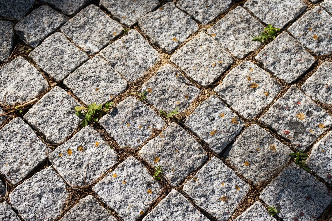 Kostka brukowa – jaką wybrać, ile kosztuje i jak wygląda układanie?