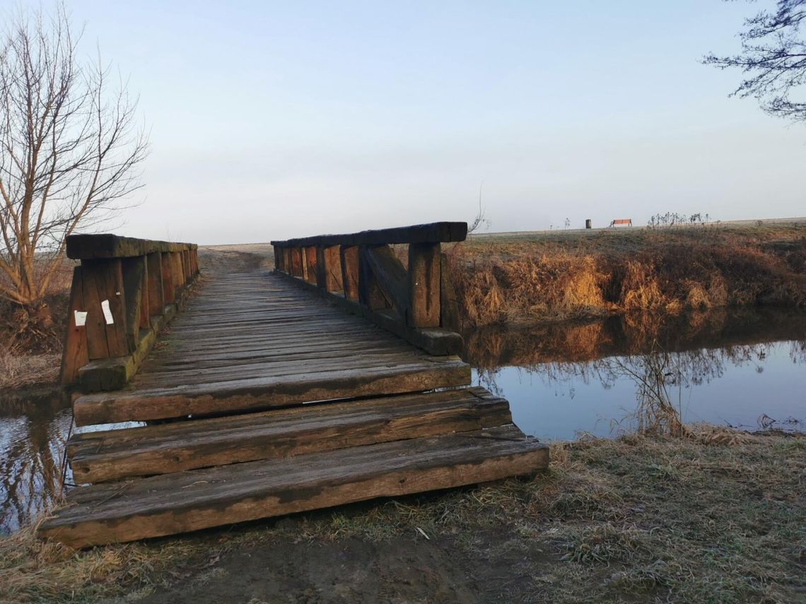 Magistrat rusza z legalizacją kładki w Leszczynach