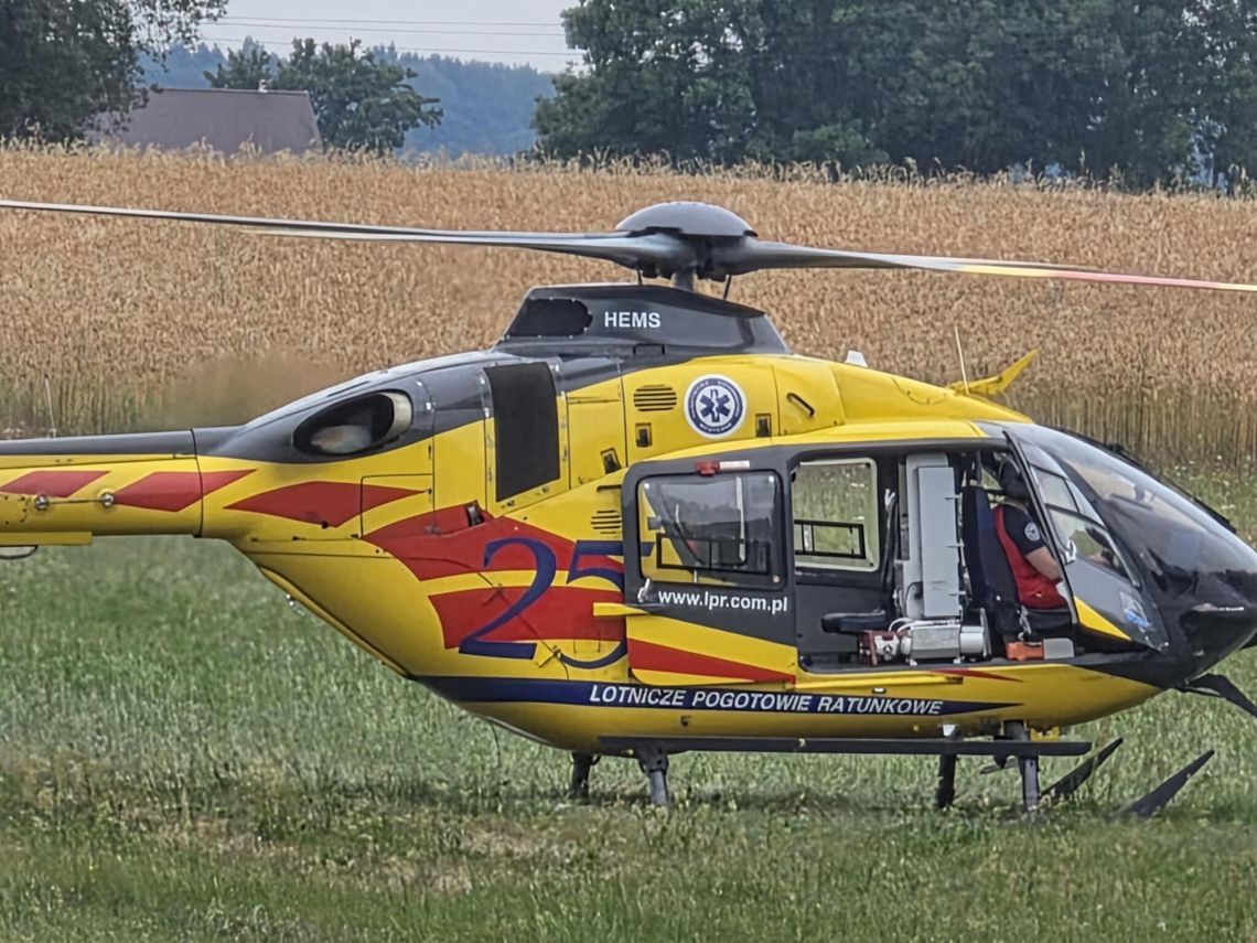 Mężczyzna użądlony przez szerzenia. LPR lądowało na łące [wideo]