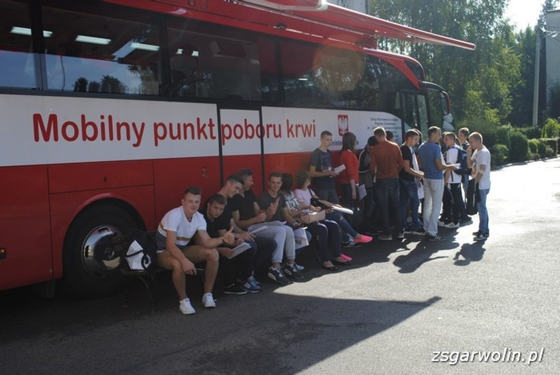 Młodzież z Ekonomika po raz kolejny nie zawiodła