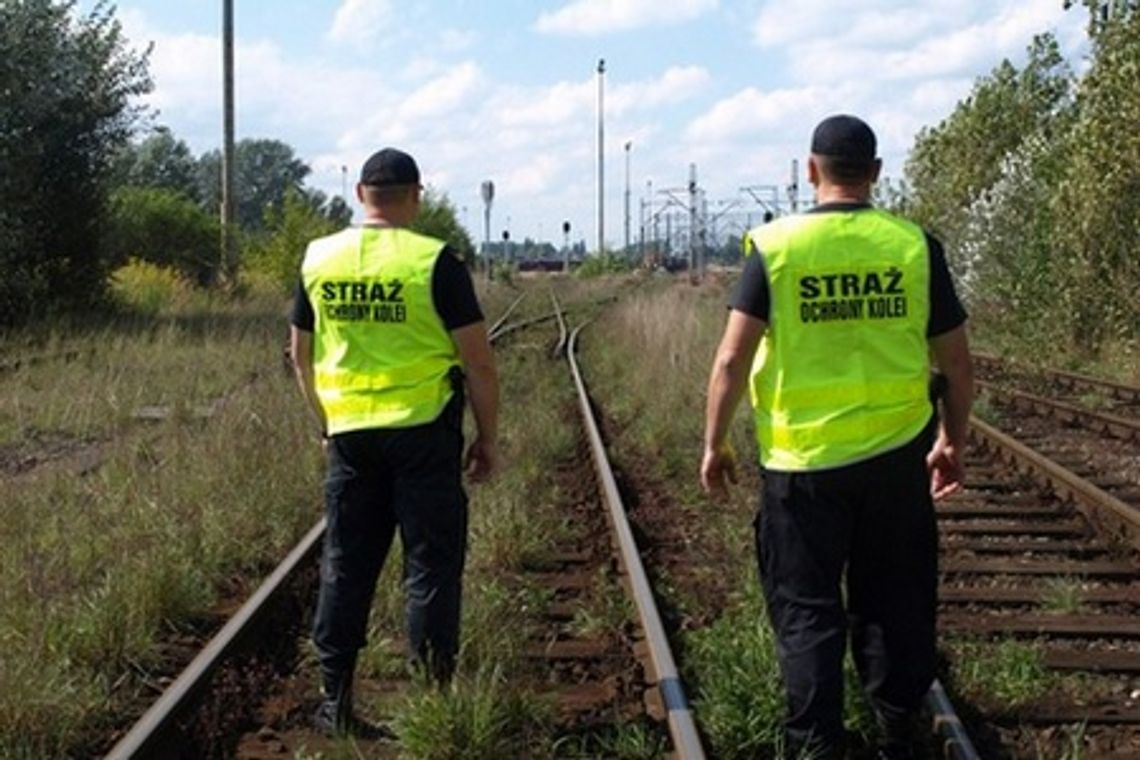 Nielegalny przemyt papierosów i graffiti na pociągu