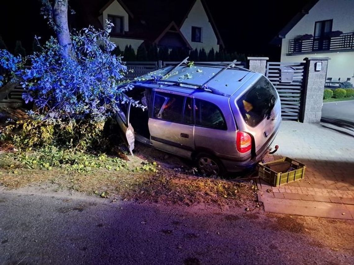 Nietrzeźwy wjechał w ogrodzenie