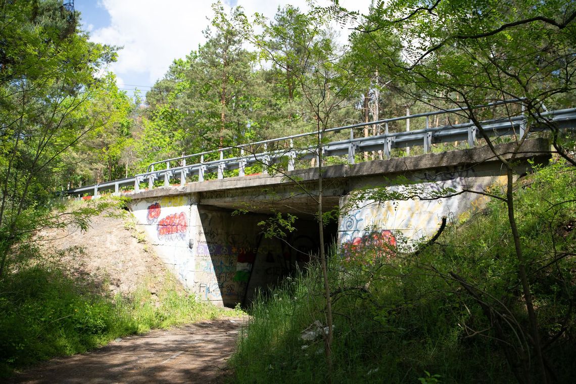 Nowy wiadukt w Wildze. Od 19 sierpnia zmiany w organizacji ruchu Nowy wiadukt w Wildze. Od 19 sierpnia zmiany w organizacji ruchu