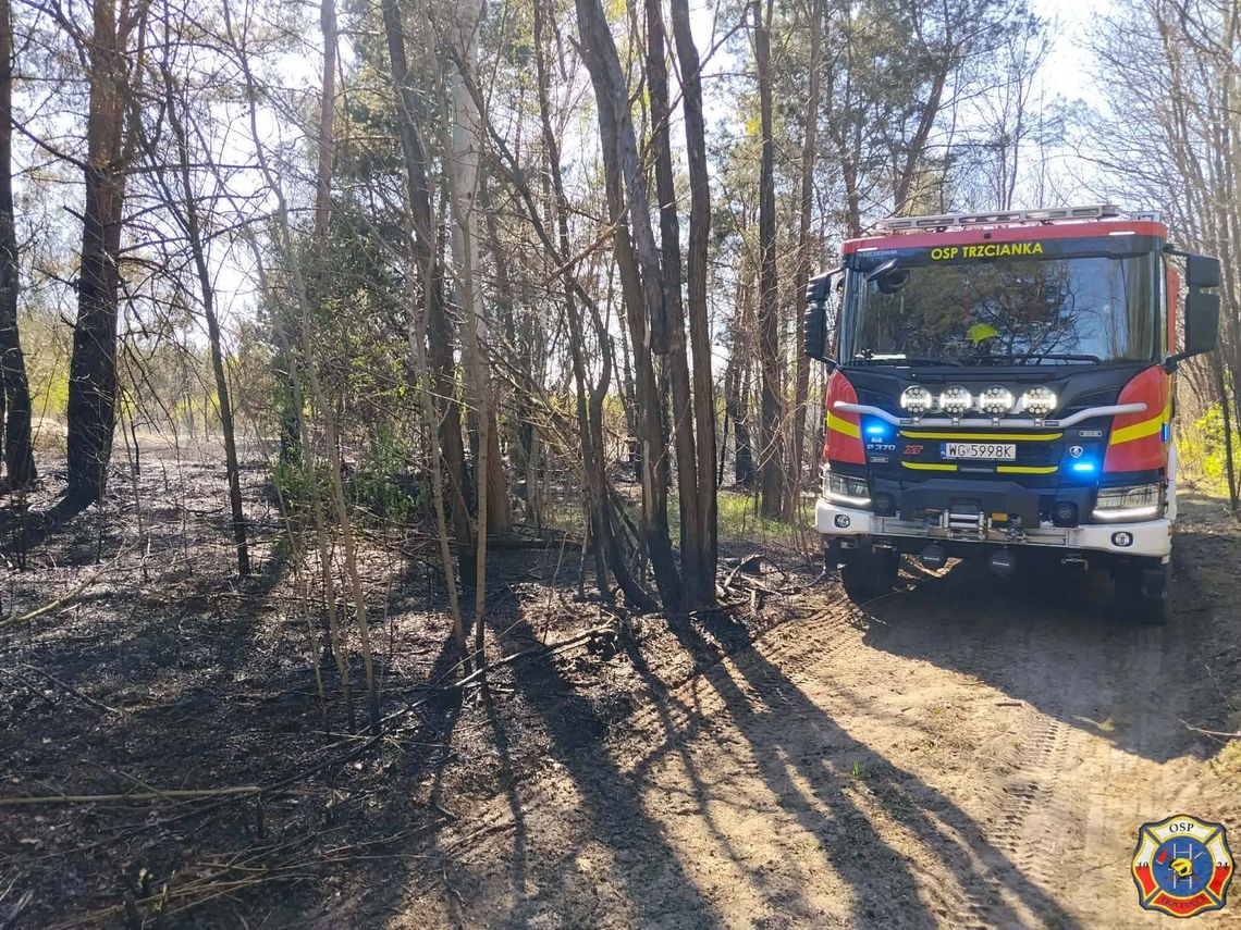 O pożarze lasu poinformował pilot samolotu